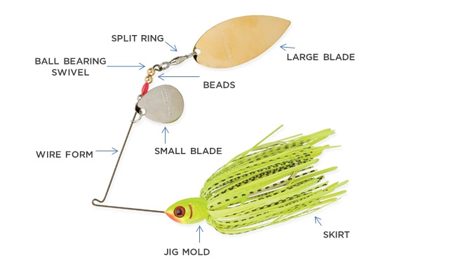 Learn All About Fishing with Spinnerbaits - Hafaspot