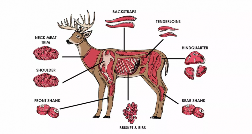 The Best Ways to Cook Every Cut of Venison Hafaspot